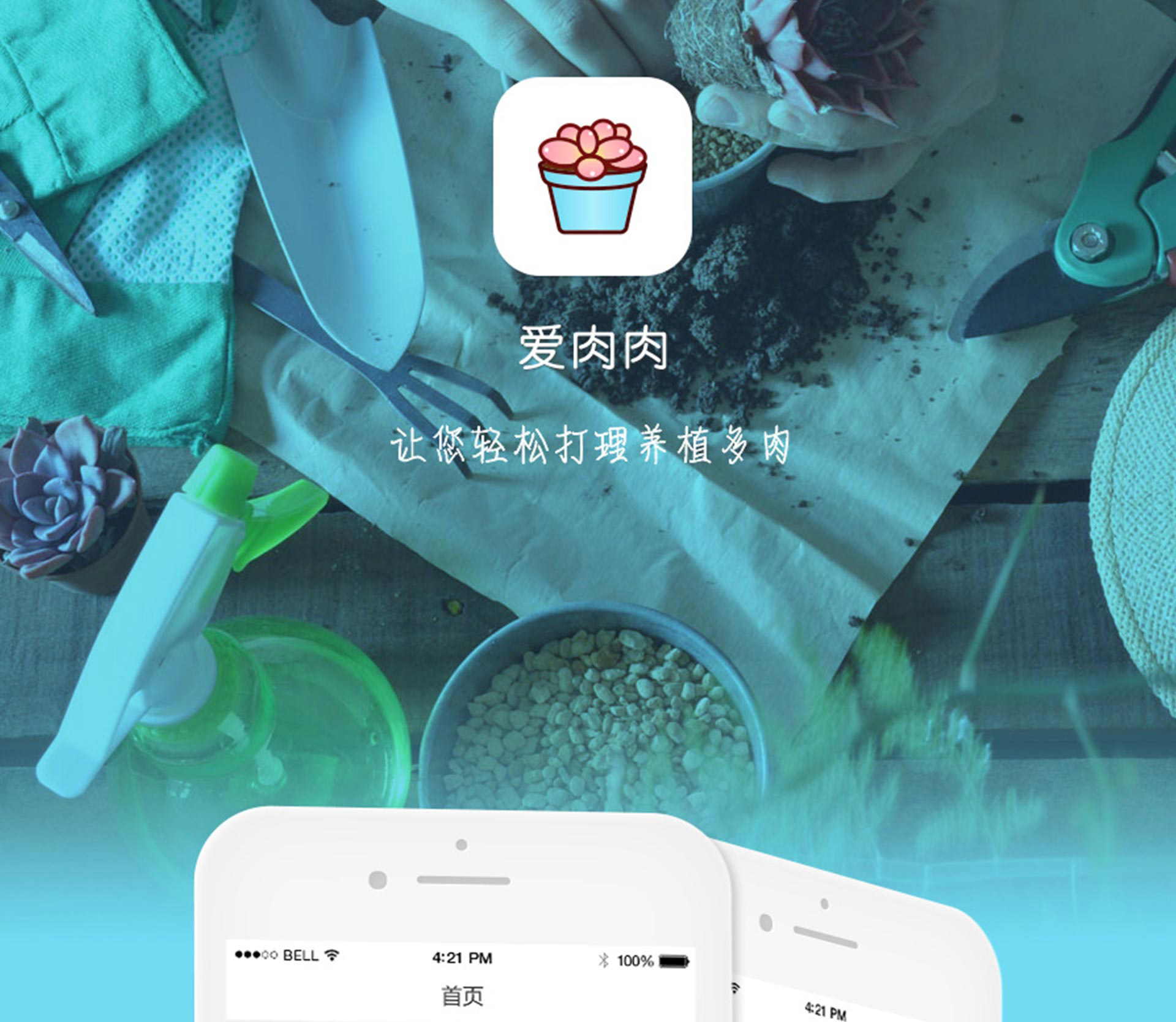 爱肉肉APP