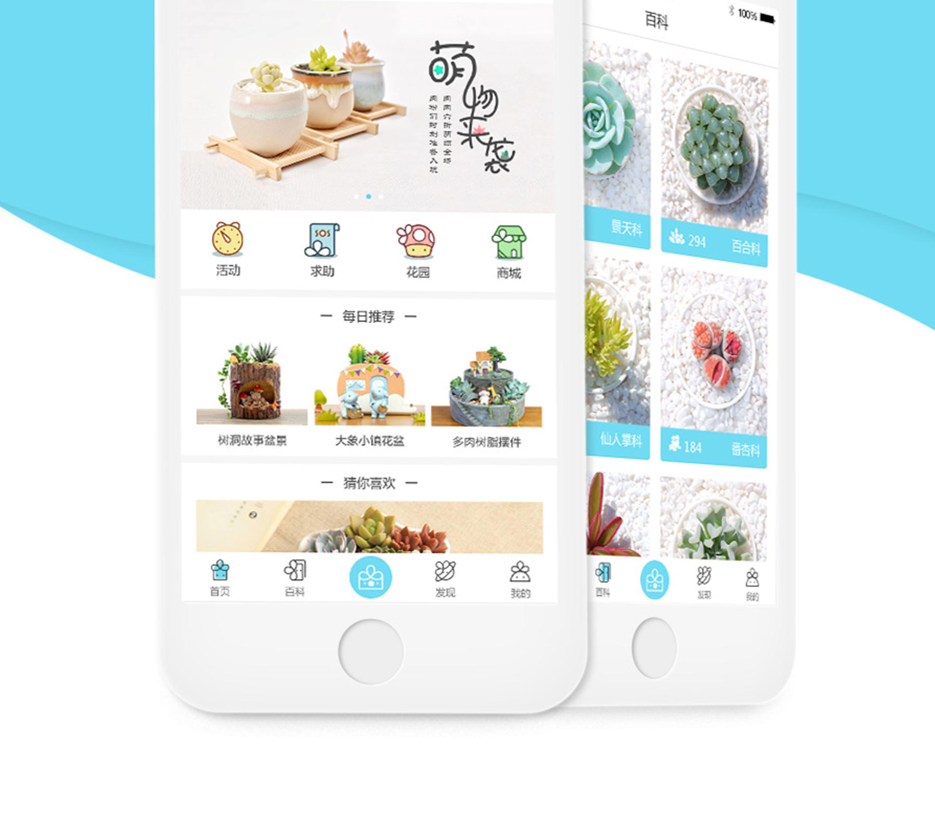 爱肉肉APP