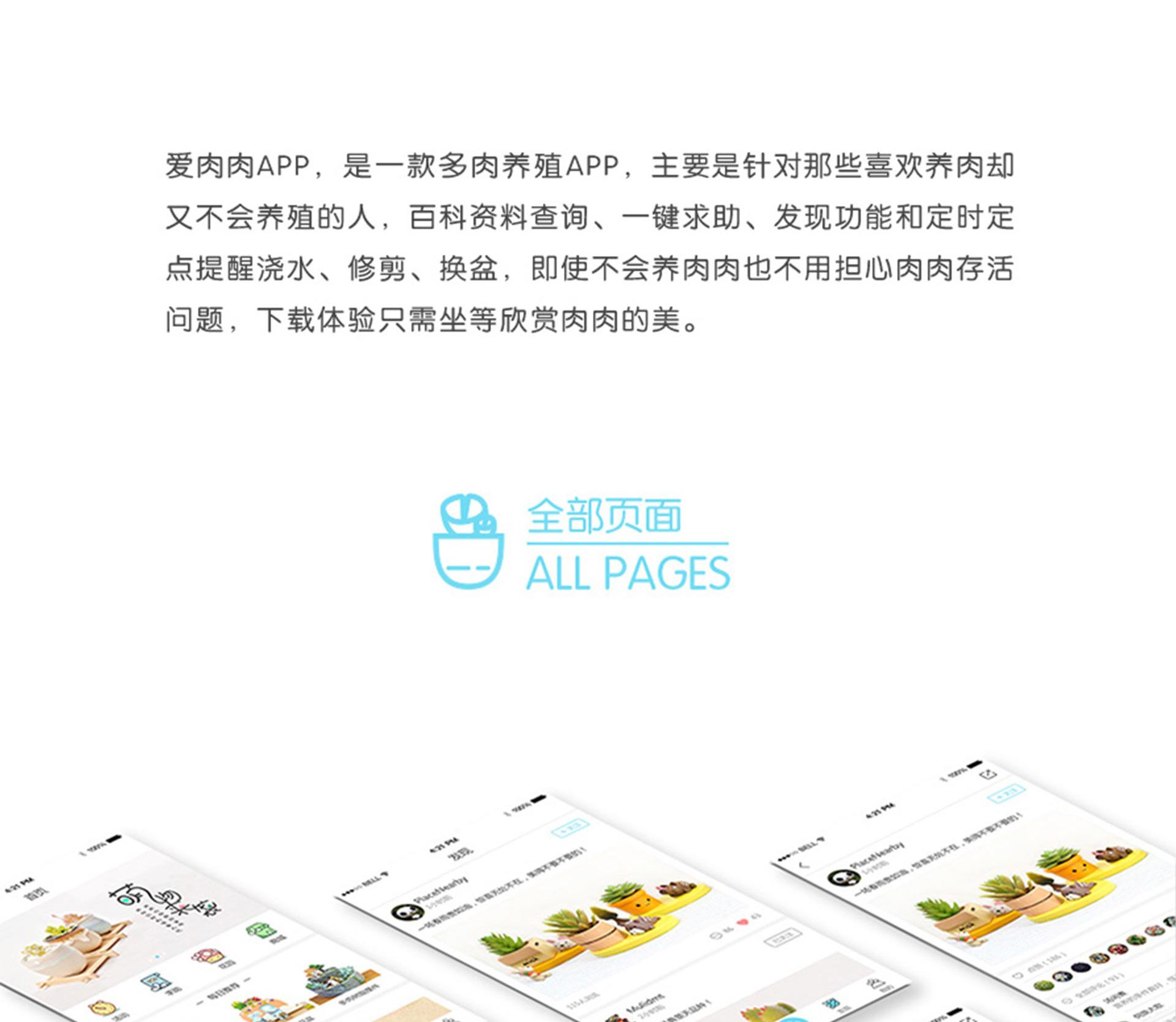 爱肉肉APP